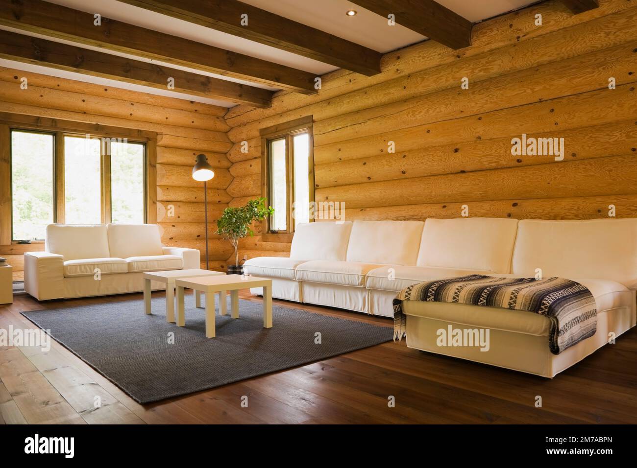 Divani imbottiti in tessuto di cotone bianco e tavolini da caffè nel soggiorno all'interno di una casa in legno in stile cottage scandinavo. Foto Stock