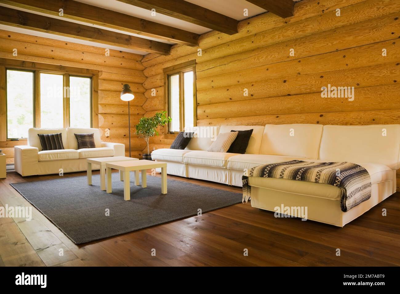 Divani imbottiti in tessuto di cotone bianco e tavolini da caffè nel soggiorno all'interno di una casa in legno in stile cottage scandinavo. Foto Stock