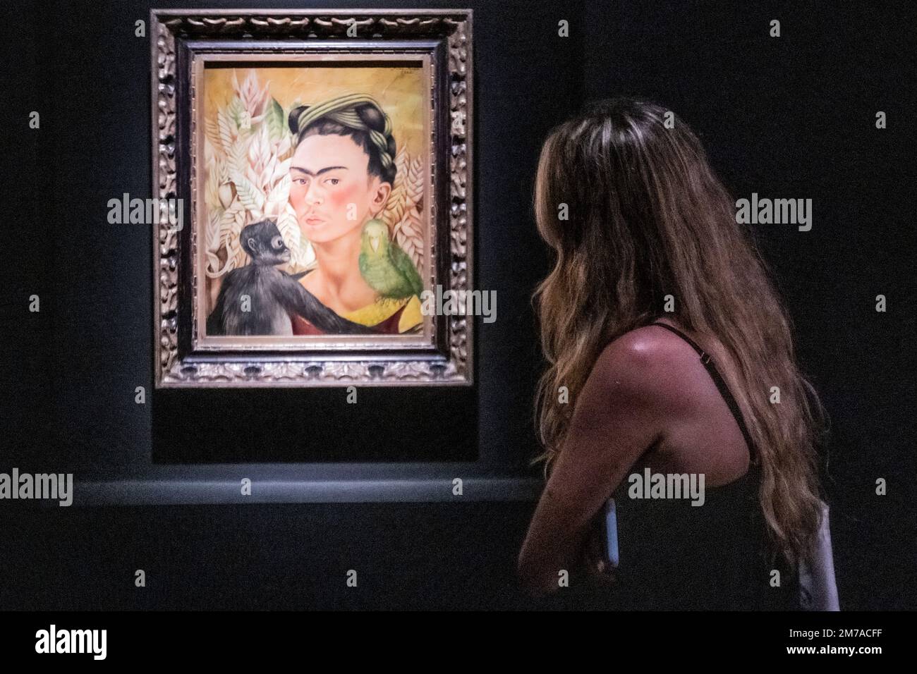 Frida Kahlo: "Autorretrato con chango y loro" (Autoritratto con scimmia e pappagallo) - (1942). Museo de Arte Latinoamericano (MALBA). Buenos Aires, Argentina Foto Stock