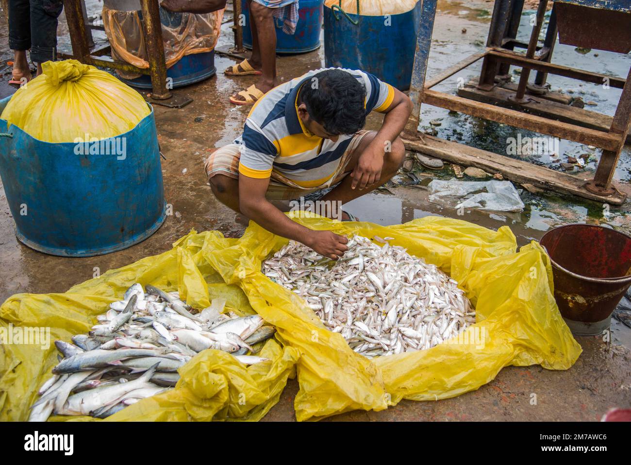 Mercato del pesce a Cox's BazarBangladesh Foto Stock