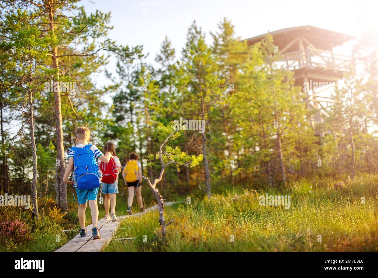 I bambini camminano sulla passerella sulla palude. Foto Stock
