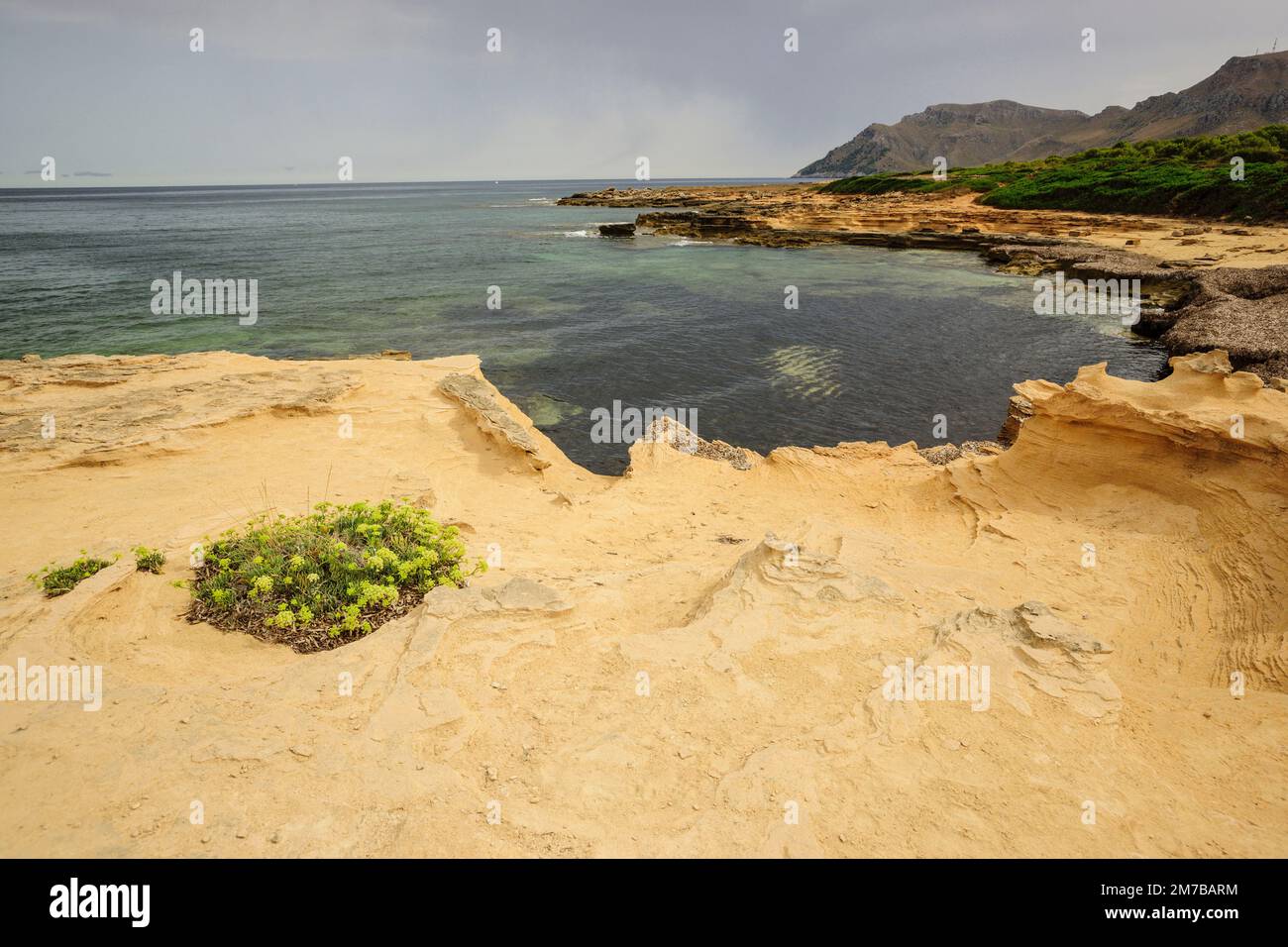 Es canonici. Colonia de Sant Pere. Artà. Mallorca. Islas Baleares. España. Foto Stock