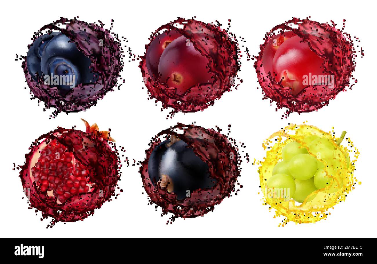 Succo di mirtillo, mirtillo, mirtillo rosso, melograno, ribes e uva. Frutti vettoriali 3D realistici o bacche con vortici liquidi. Bevanda fresca di vitamina i vortici isolati con goccioline di spruzzo Illustrazione Vettoriale