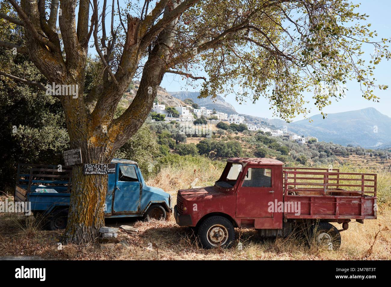 Due vecchi camion sotto un albero Foto Stock