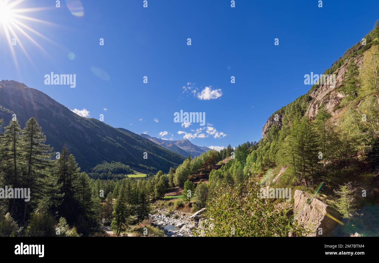 Panorama di gola di montagna con foresta sempreverde mista e ruscello circondato da pendii alpini e luminoso sole. Parco Nazionale del Gran Paradiso Foto Stock