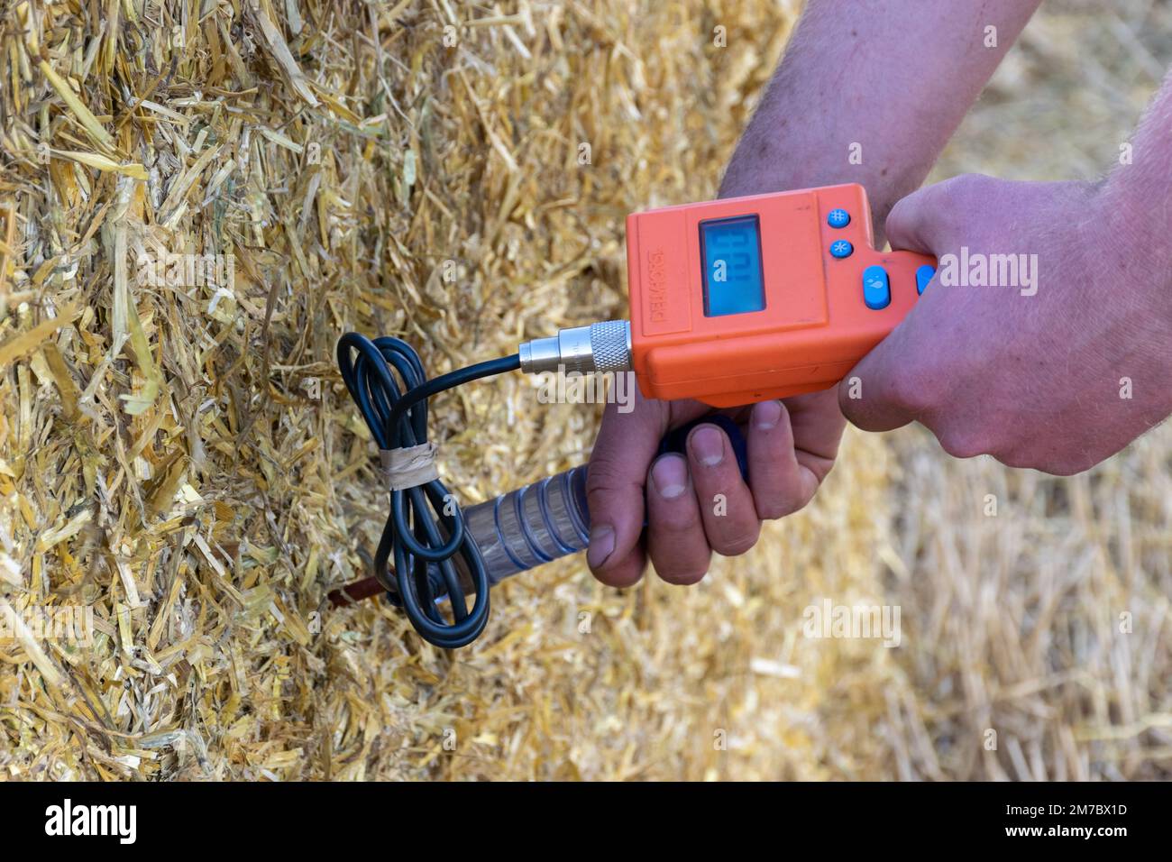 Il contadino rileva la temperatura di una balla di paglia con una sonda per assicurarsi che non si surriscaldi e che possa essere impilata in modo sicuro. North Yorkshire, Regno Unito. Foto Stock
