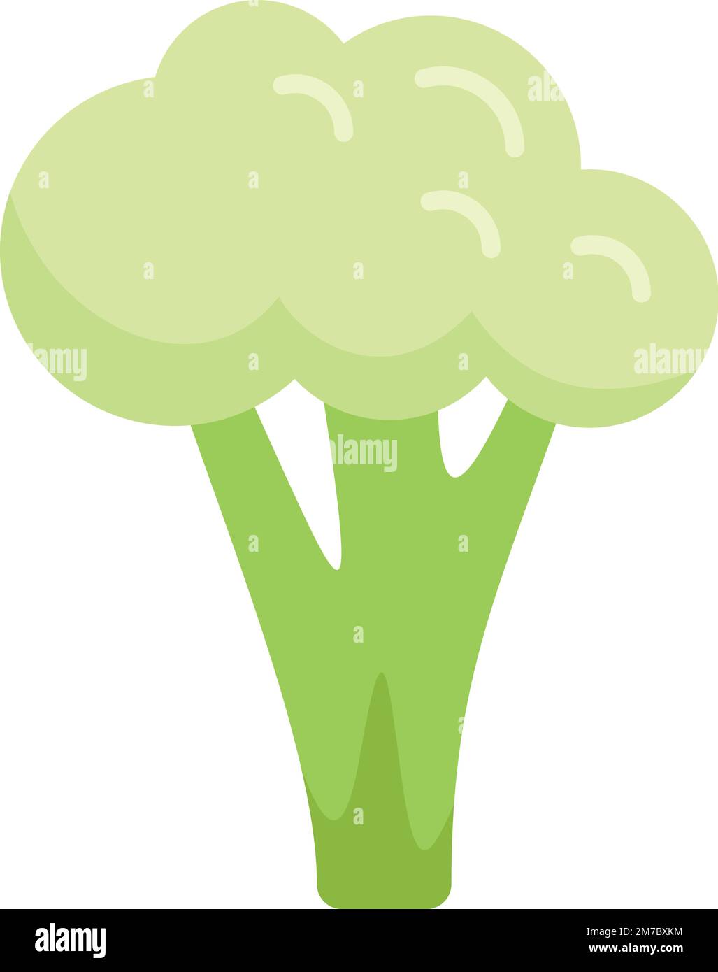 Broccoli cavolo icona vettore piatto. Brocoli cibo. Pianta vegetale isolata Illustrazione Vettoriale
