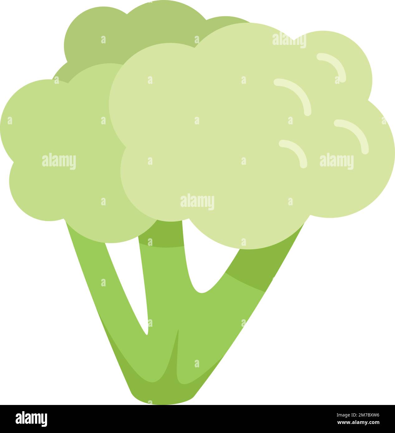 Cibo broccoli icona piatto vettore. Insalata di piante. Pianta vegetale isolata Illustrazione Vettoriale