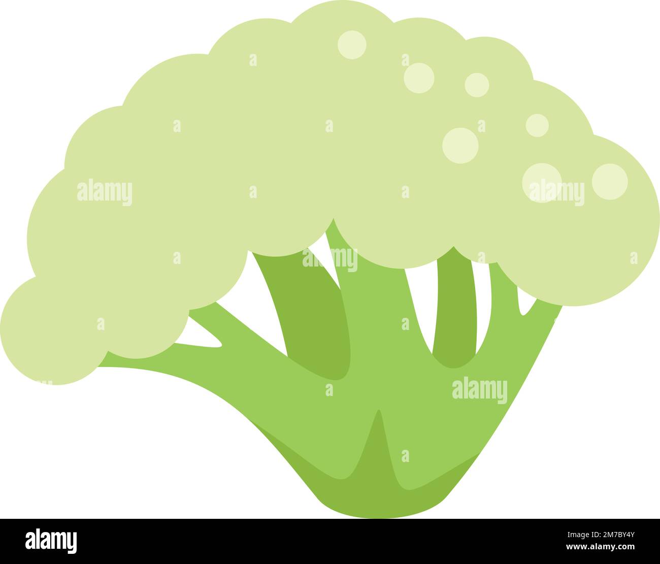 Pianta broccoli icona vettore piatto. Cavolo vegetale. Insalata dolce isolato Illustrazione Vettoriale