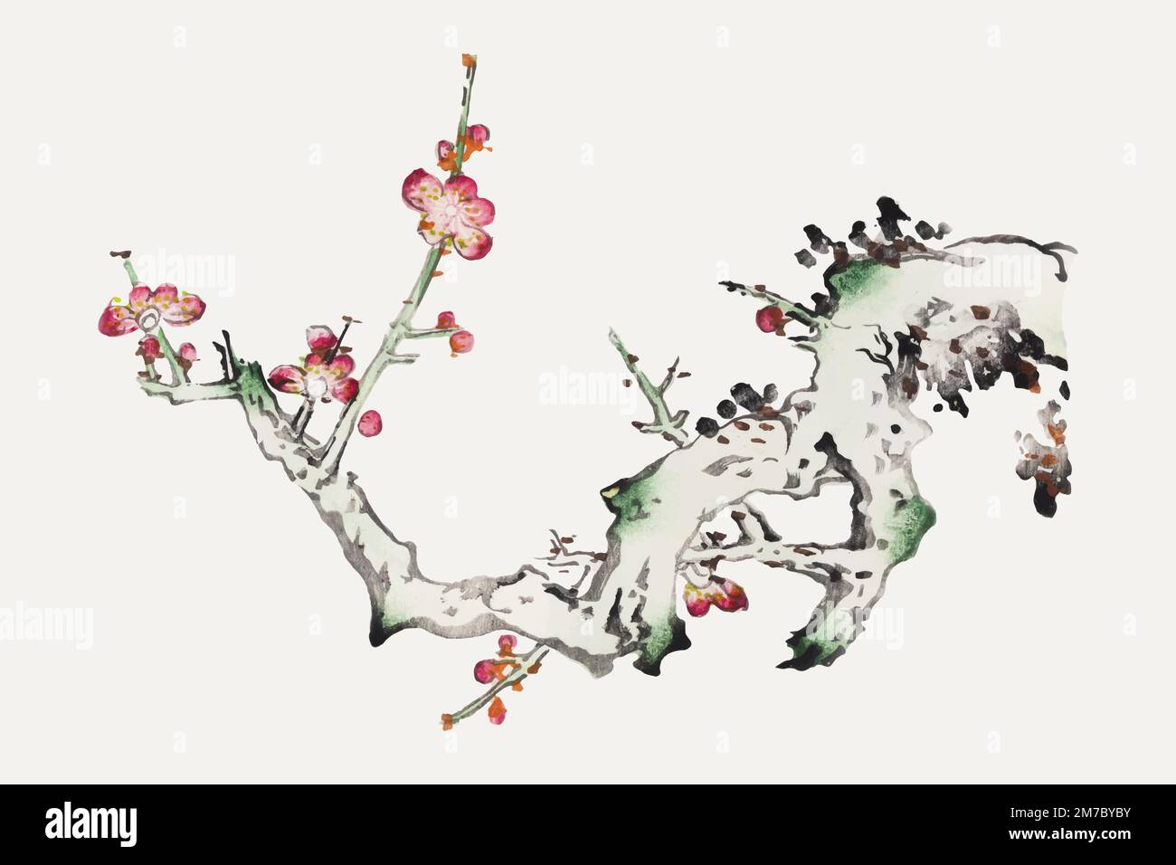 Fiore vettore di arte botanica stampa, remixata da opere di Hu Zhengyan Illustrazione Vettoriale