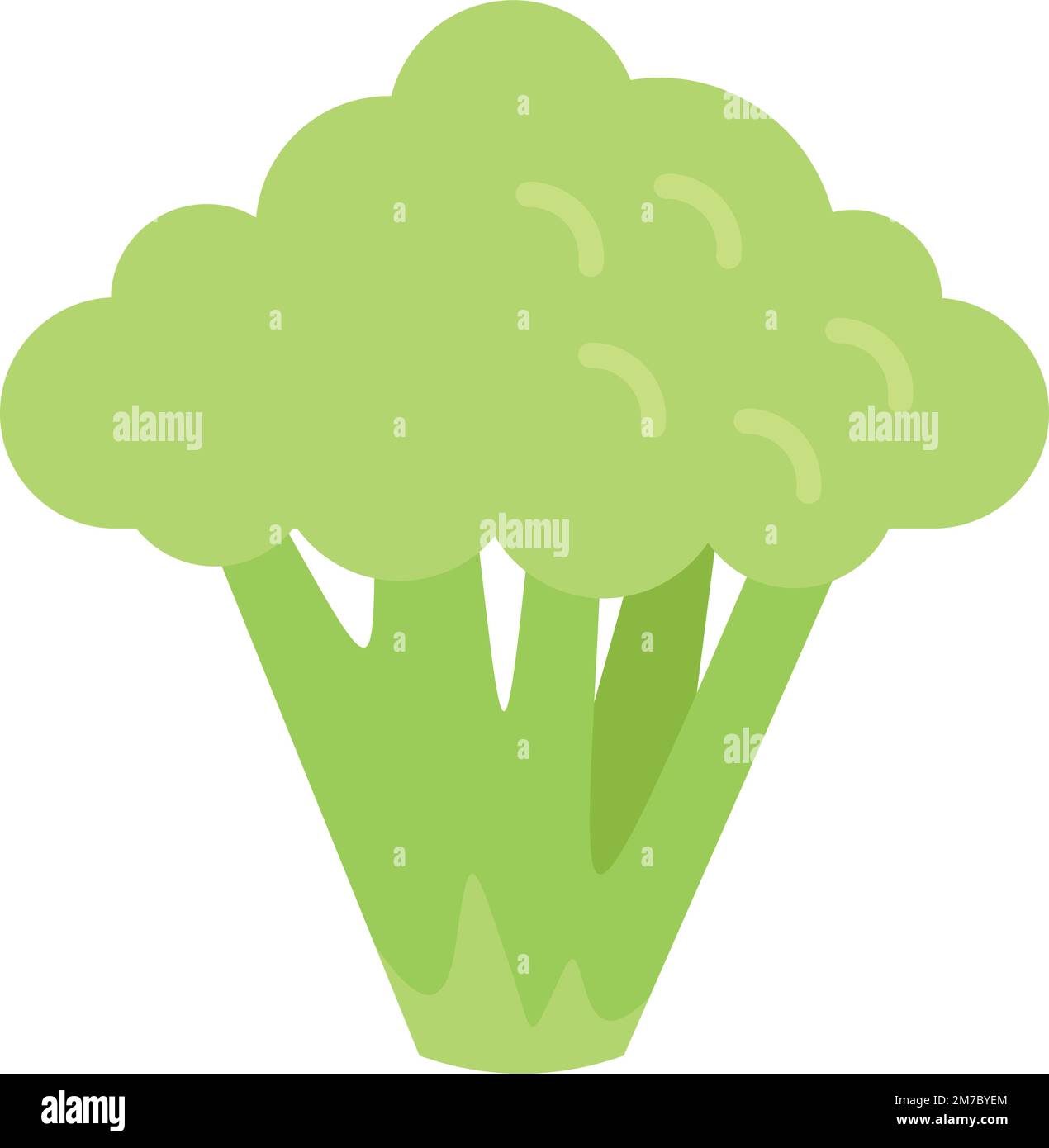 Broccoli sani icona vettore piatto. Broccoli vegetali. Insalata di piante isolato Illustrazione Vettoriale