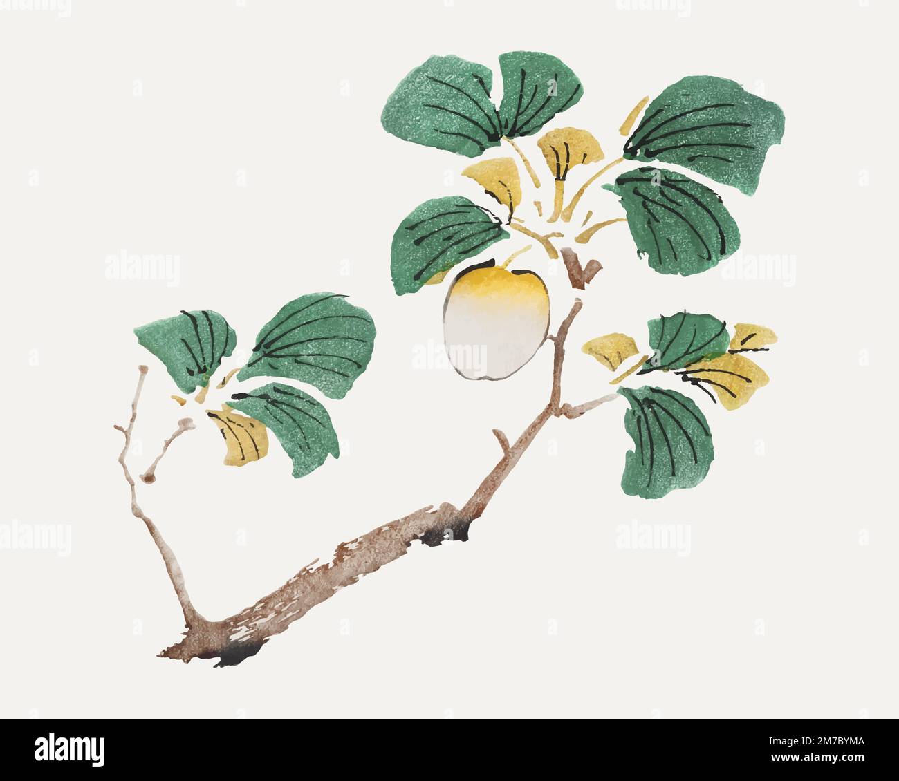 Stampa artistica botanica vettoriale di frutta, remixata da opere d'arte di Hu Zhengyan Illustrazione Vettoriale