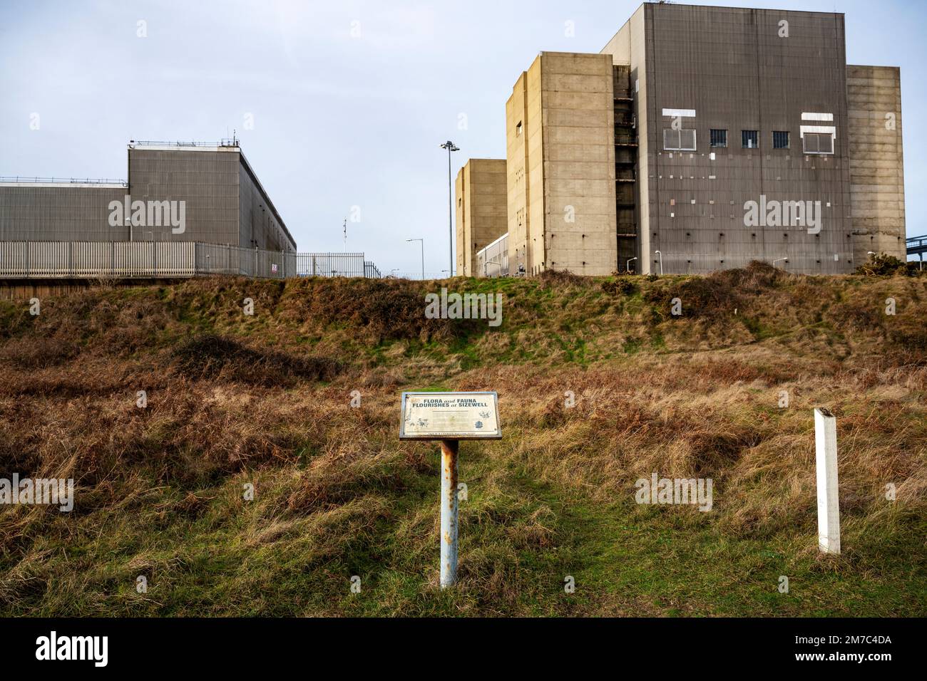 La centrale nucleare di Sizewell Suffolk UK è stata smantellata Foto Stock La centrale nucleare di Sizewell Suffolk UK è stata smantellata Foto Stock