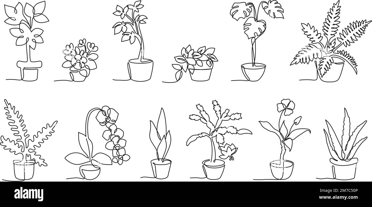 Una linea continua piante in vaso. Piante di decorazione domestica in vasi carini, fiori disegnati a mano vettore illustrazione set Illustrazione Vettoriale