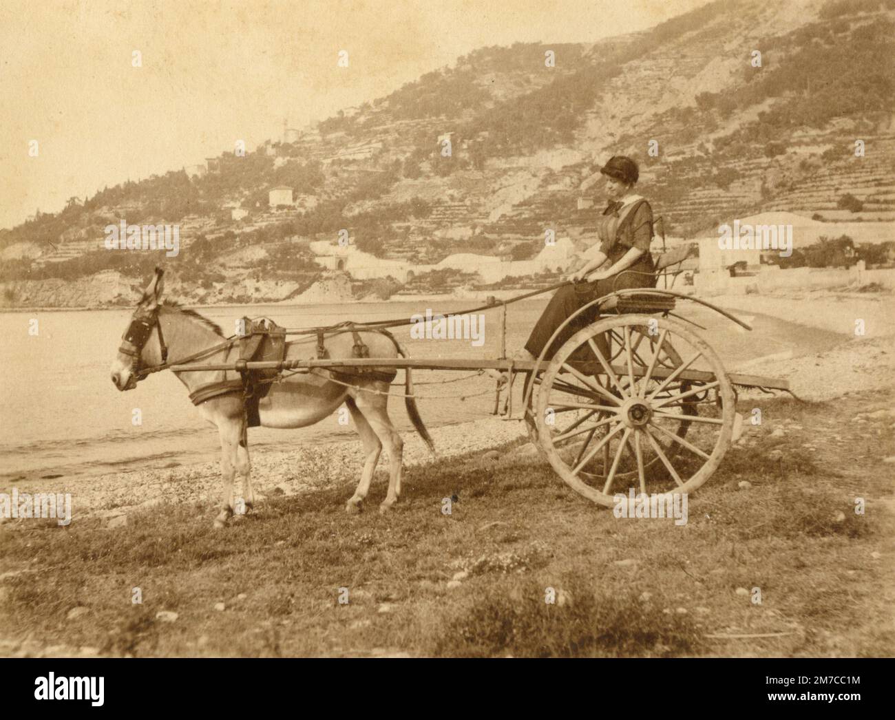 Donna con carrello trainato da un asino, latte, Italia 1880s Foto Stock