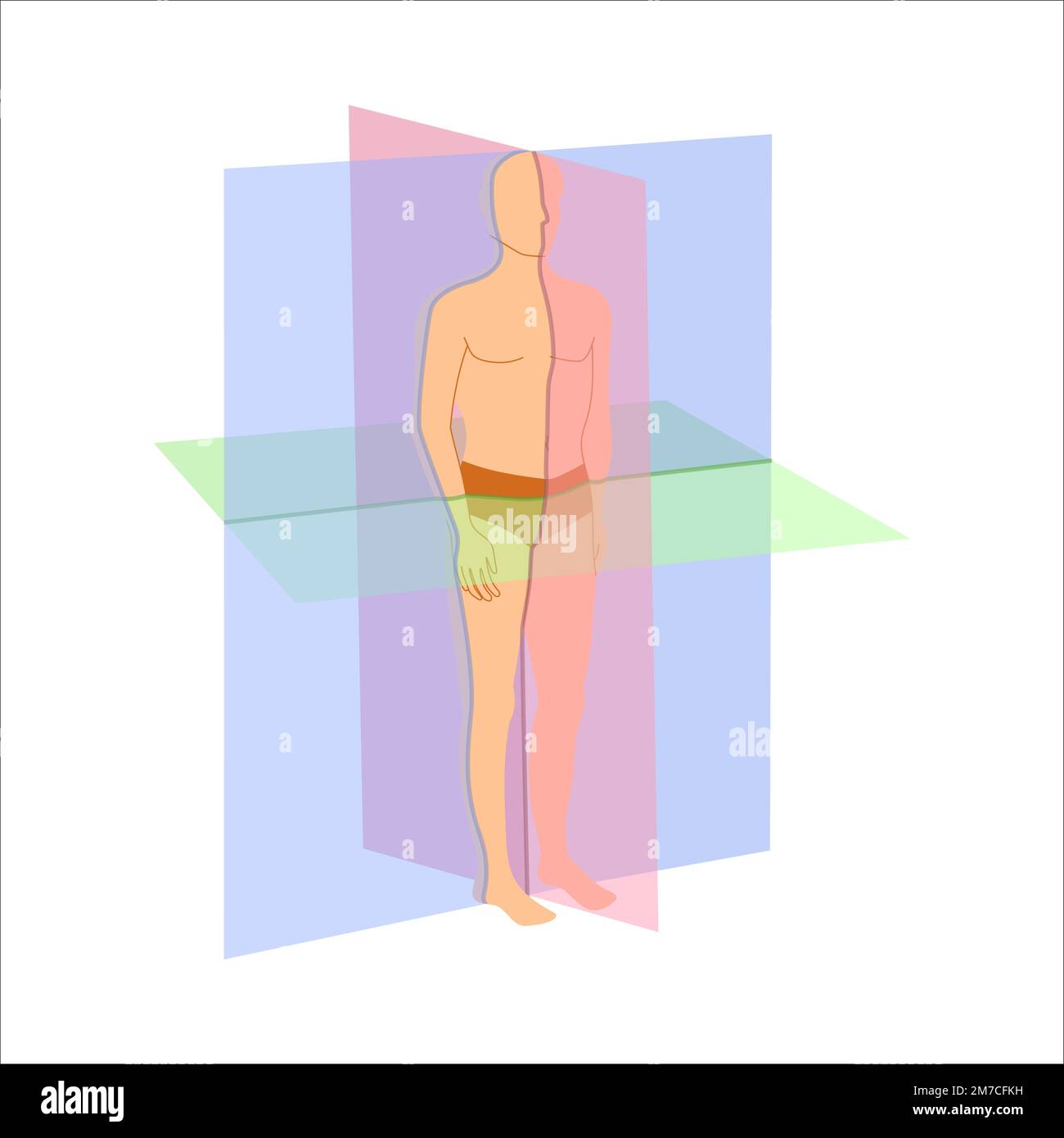 Scansione dei piani per il diagramma di posizione dell'orientamento del corpo Illustrazione Vettoriale