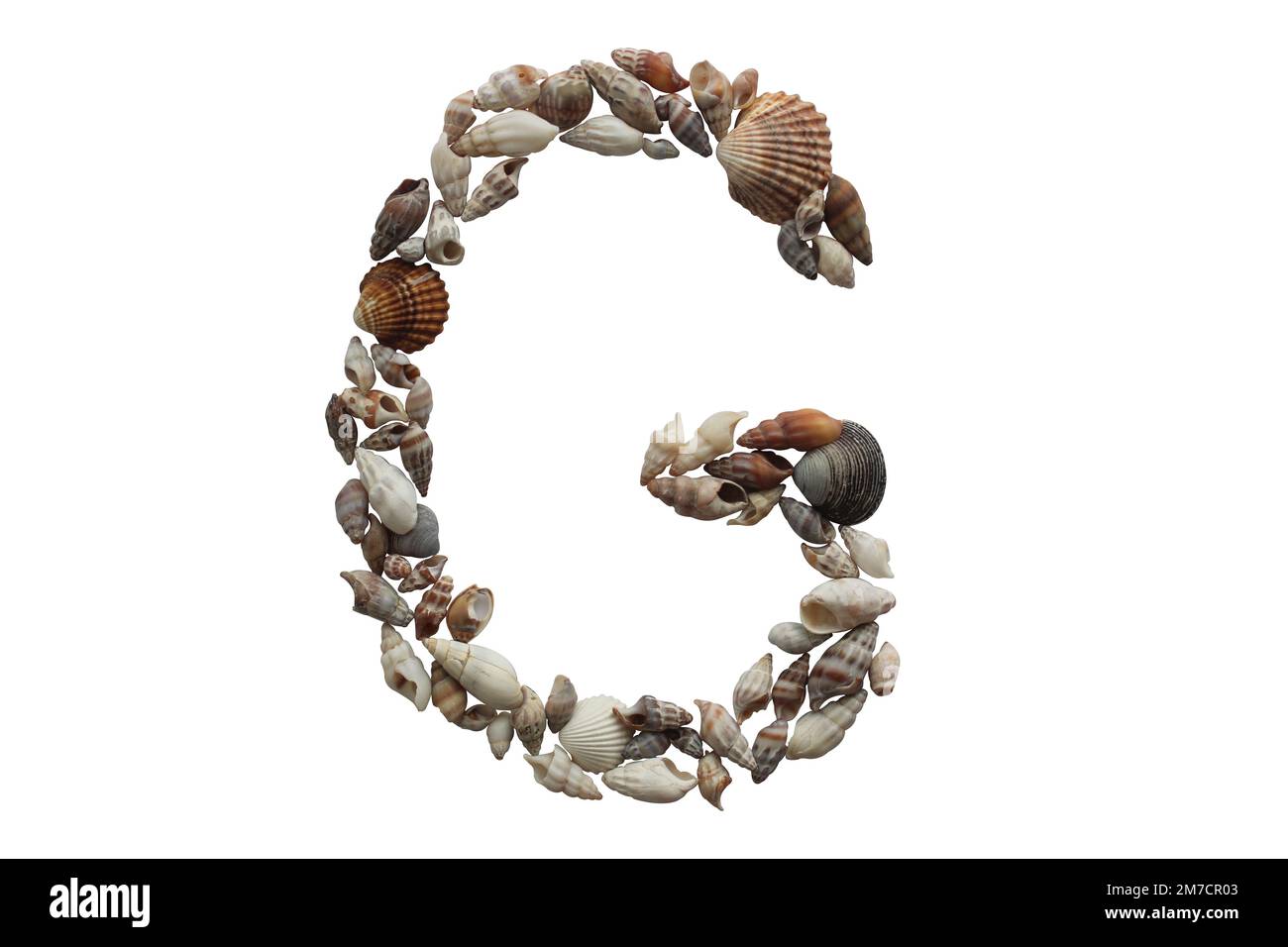 Lettera G realizzata con conchiglia di mare isolata su fondo bianco. Idea di concetto di estate. Foto Stock