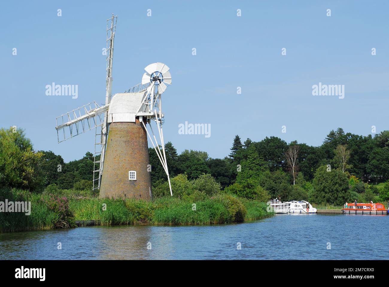 Tappeto erboso Fen, How Hill, sul fiume ANT, Norfolk, East Anglia UK Foto Stock