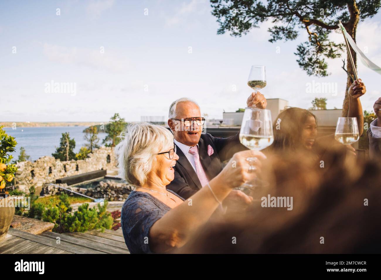 Amici felici godendo e tostando i wineglasses durante la celebrazione di nozze Foto Stock Amici felici godendo e tostando i wineglasses durante la celebrazione di nozze Foto Stock