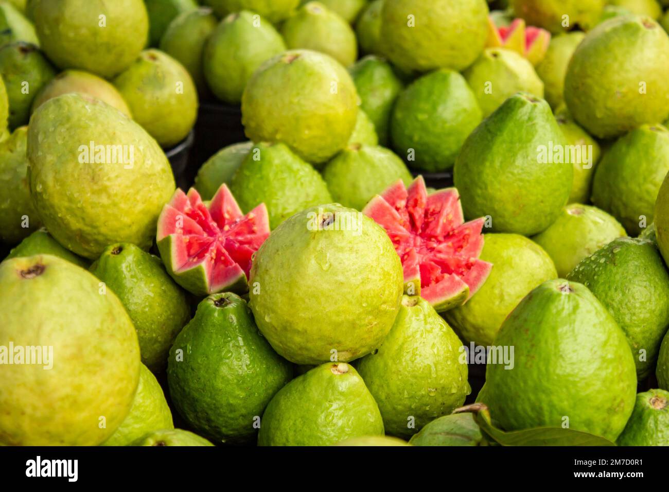 Goiania, Goiás, Brasile – 08 gennaio 2023: Varie guave in mostra con un po' di taglio e disposte per essere vendute in fiera. Foto Stock