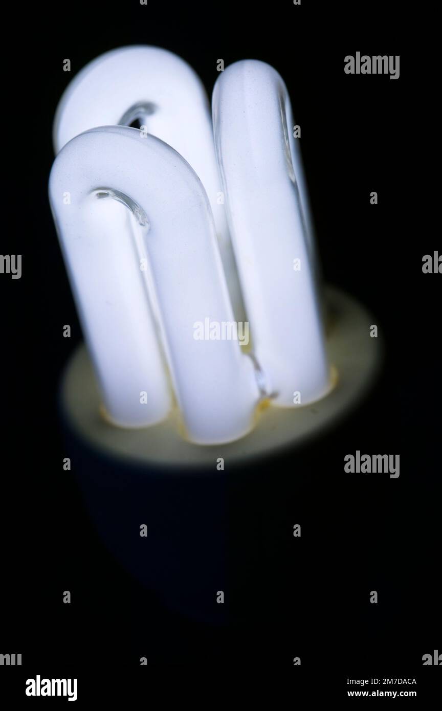 Primo piano dei 3 tubi ad anello che costituiscono una lampadina domestica a basso consumo ecologico a risparmio energetico. Invece del filamento tradizionale di tungsteno queste lampadine consumano meno energia e sono anche note come lampade fluorescenti o tubi. Foto Stock