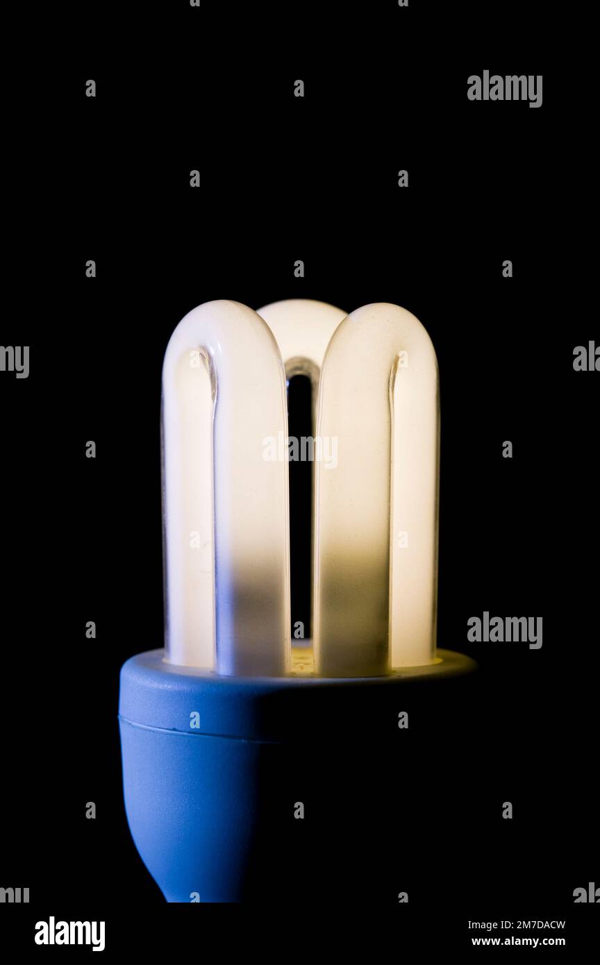 Primo piano dei 3 tubi ad anello che costituiscono una lampadina domestica a basso consumo ecologico a risparmio energetico. Invece del filamento tradizionale di tungsteno queste lampadine consumano meno energia e sono anche note come lampade fluorescenti o tubi. Foto Stock