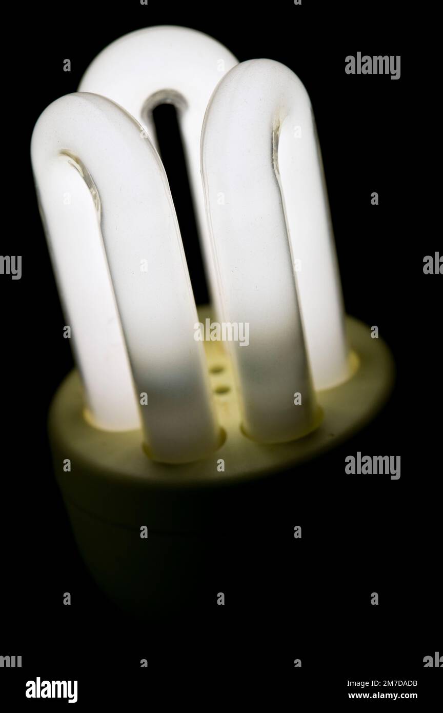 Primo piano dei 3 tubi ad anello che costituiscono una lampadina domestica a basso consumo ecologico a risparmio energetico. Invece del filamento tradizionale di tungsteno queste lampadine consumano meno energia e sono anche note come lampade fluorescenti o tubi. Foto Stock