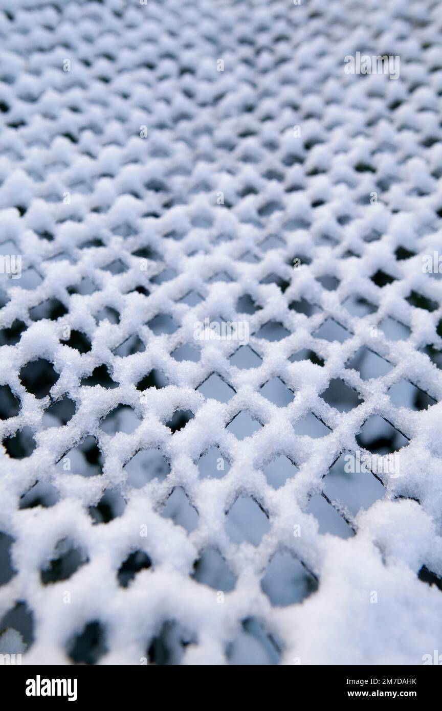 Piante su un riparto diventare ricoperto di uno strato di neve spessa tranne per il fatto che alcuni di essi sono protetti mediante l'uso di pezze e filo che mantiene alcuni inverni miti temperature di congelamento adn ghiaccio da piante di seguito. Foto Stock