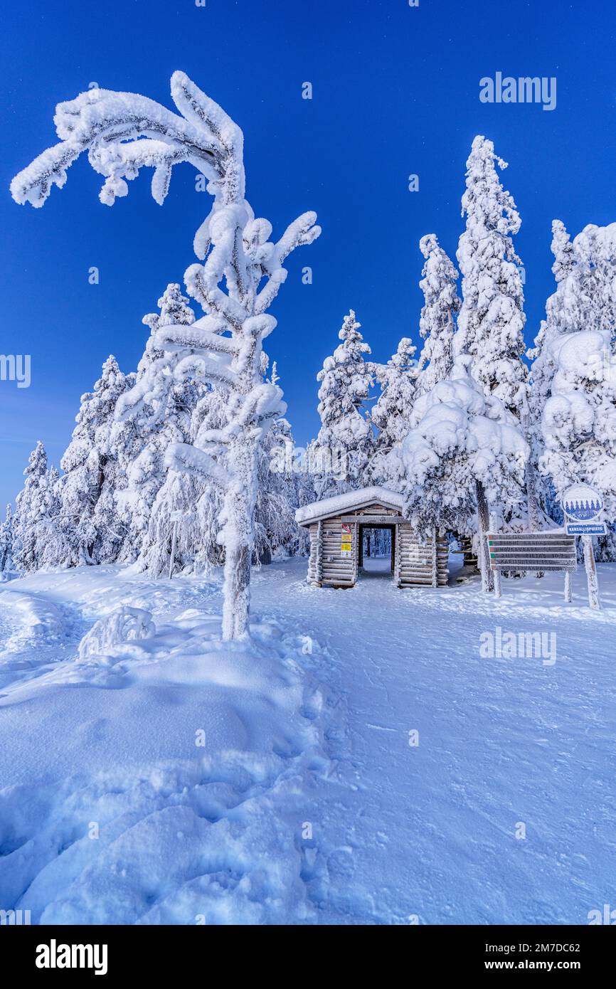 Rifugio ghiacciato e segnaletica per escursioni nello scenario invernale del Parco Nazionale di Riisitunturi al crepuscolo, Posio, Lapponia, Finlandia Foto Stock