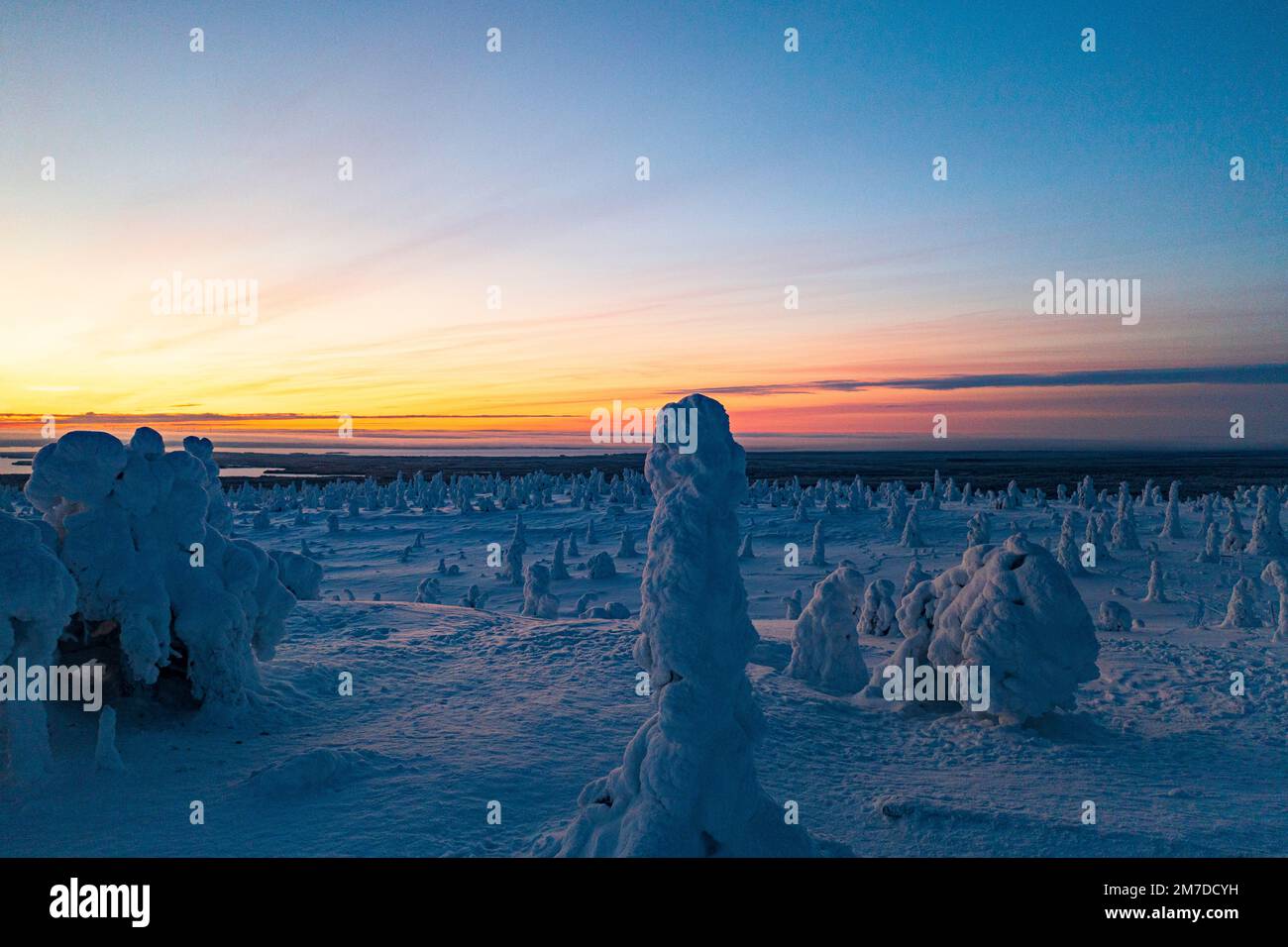 Vista ad alto angolo delle sculture di ghiaccio all'alba, Parco Nazionale di Riisitunturi, Posio, Lapponia, Finlandia Foto Stock