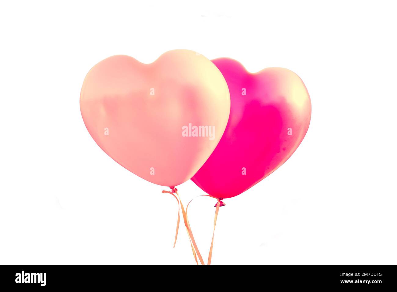 Due palloncini rosa a forma di cuori isolati su sfondo bianco, giorno di San Valentino o matrimonio Foto Stock