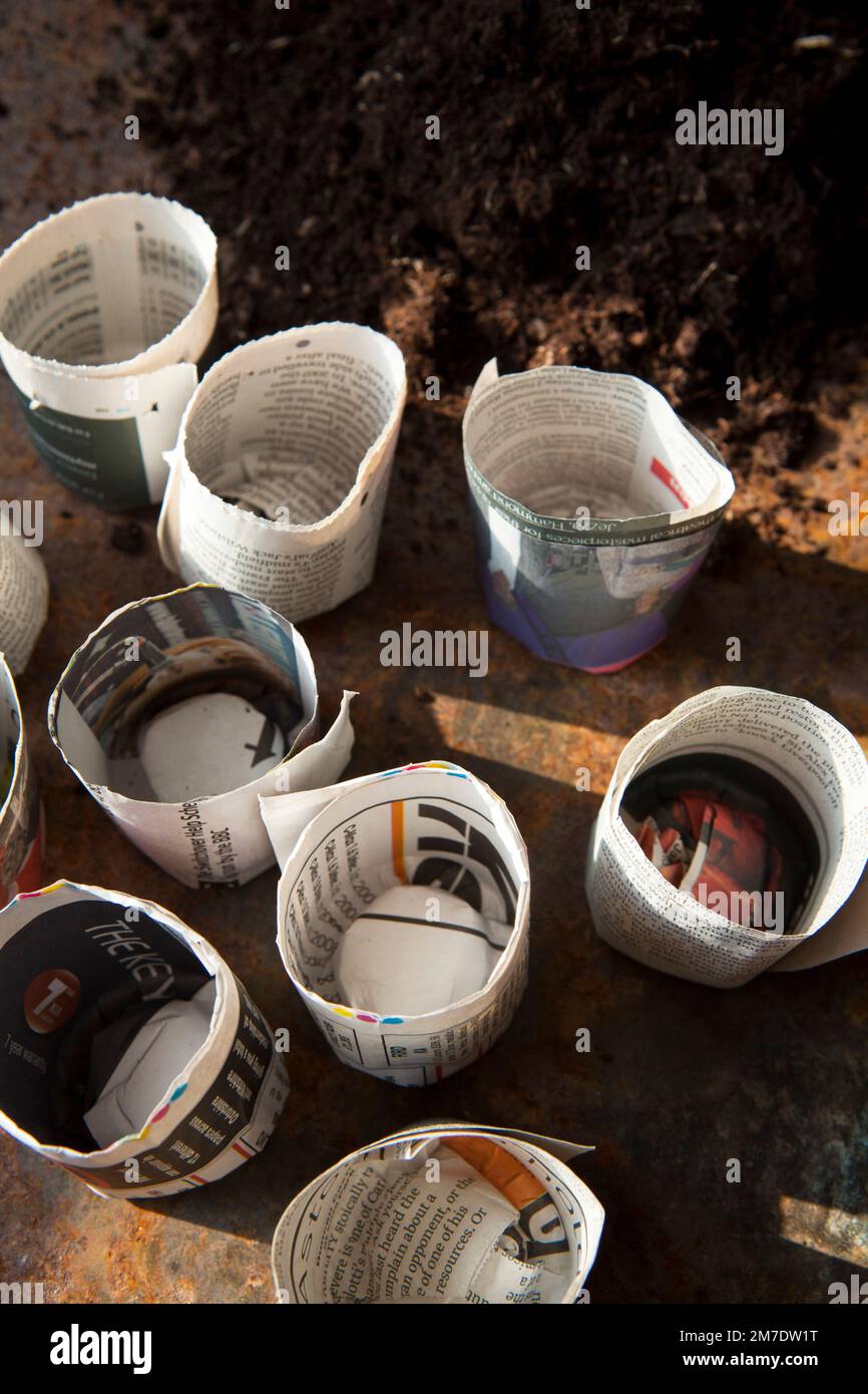 Fatta in Casa vasi per piante per i semenzali, fatta da vecchi giornali riciclati, essendo biodegradabile ed eco fireindly. Foto Stock