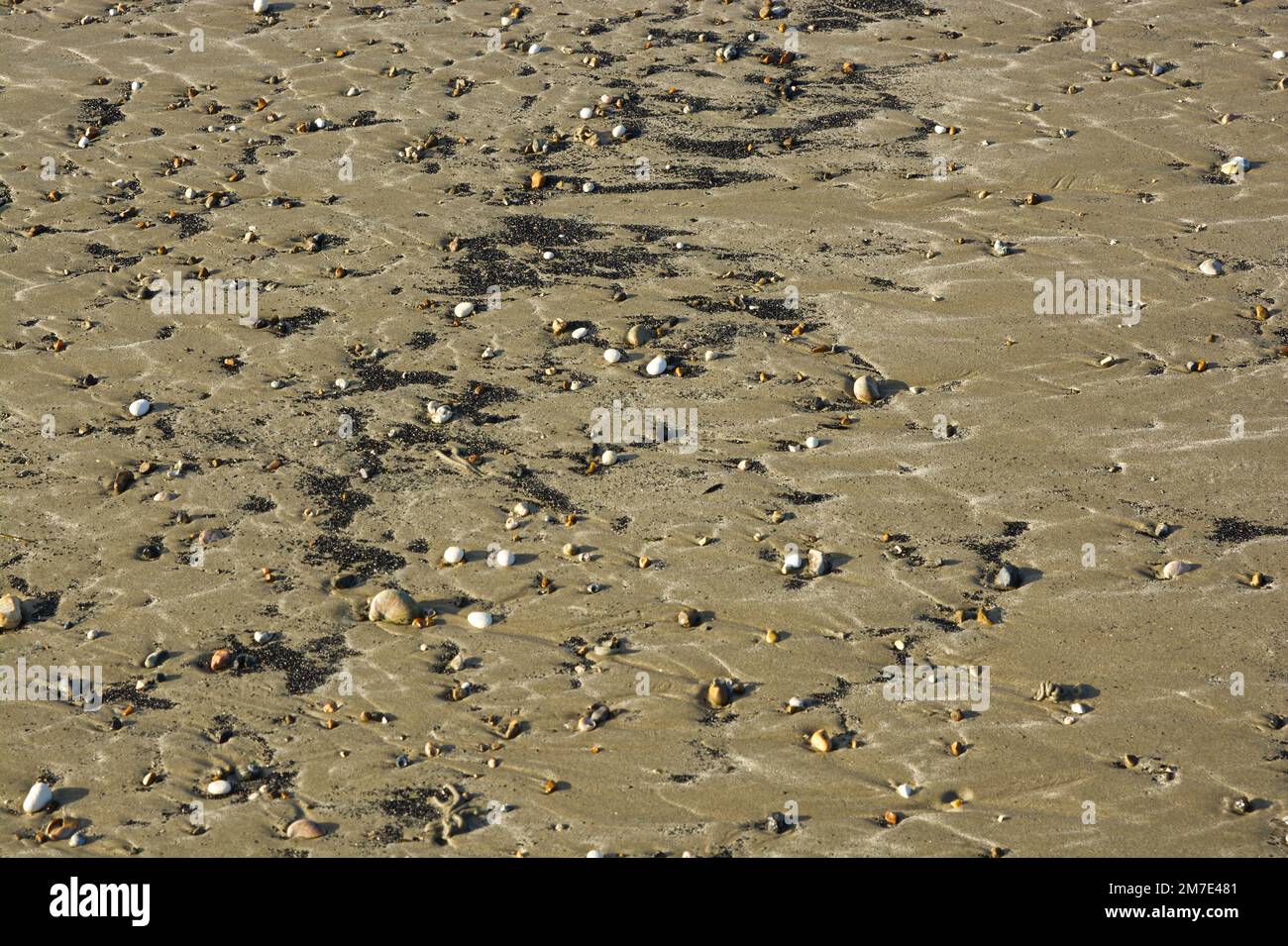 Modelli astratti di ciottoli su una spiaggia sabbiosa a Littlehampton nel Sussex occidentale, Inghilterra. Foto Stock