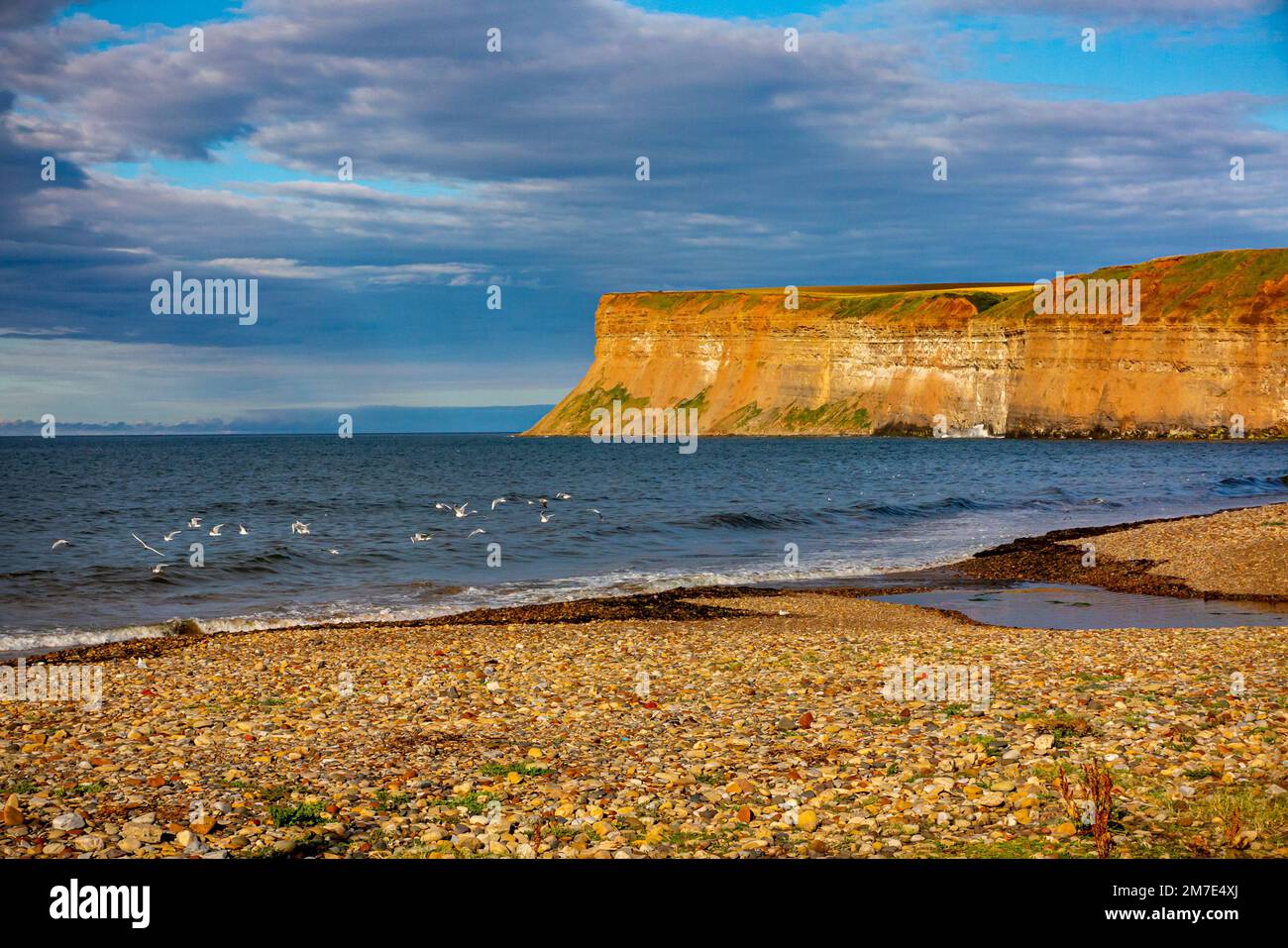 Vista estiva del mare e delle scogliere a sud di Saltburn-by-the-Sea vicino a Redcar nel NorthYorkshire Inghilterra Regno Unito Foto Stock