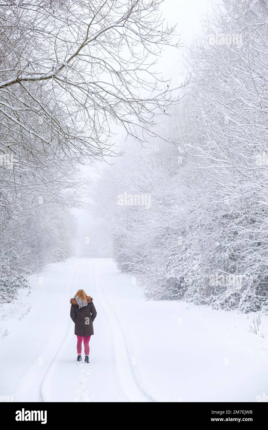 Una giovane donna che cammina in una tranquilla corsia di campagna dopo una forte nevicata. Foto Stock