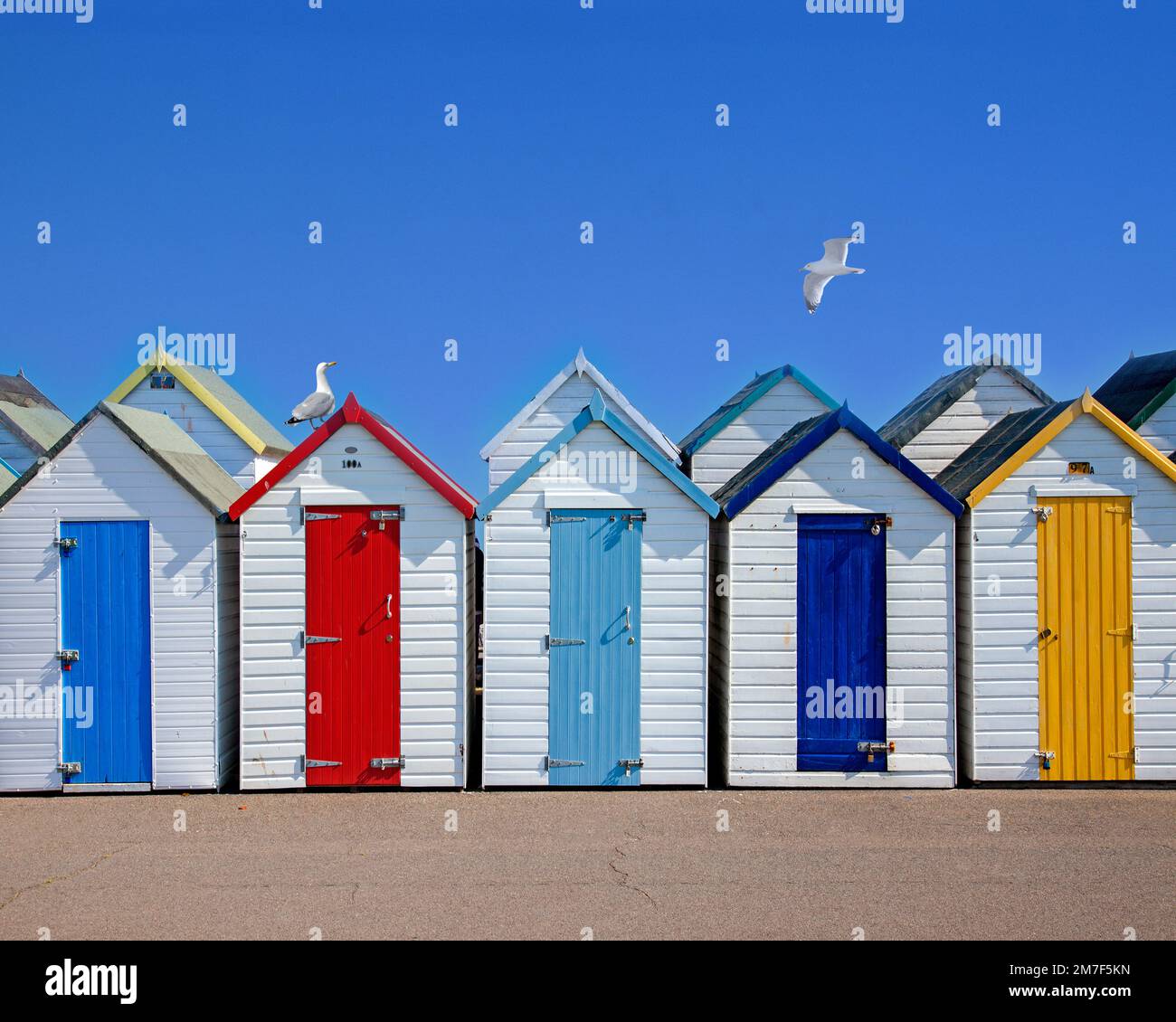 GB - DEVON: Spiaggia capanne a Paignton Foto Stock