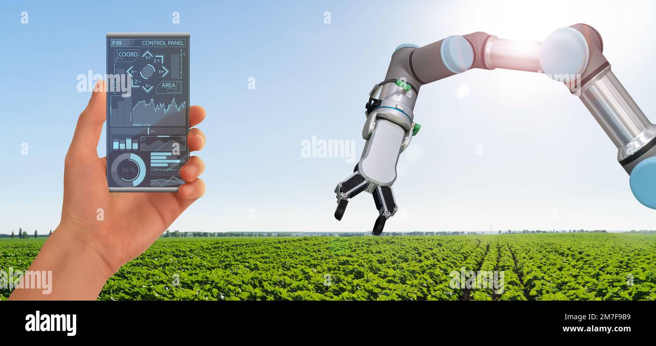 Un agricoltore controlla il robot agricolo tramite un'applicazione mobile per smartphone. Agricoltura intelligente e agricoltura digitale 4.0 Foto Stock