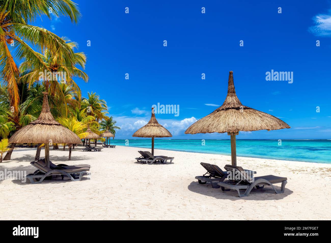 Alberi di palma sulla spiaggia di Paradise in resort tropicale nell'isola di Mauritius. Foto Stock