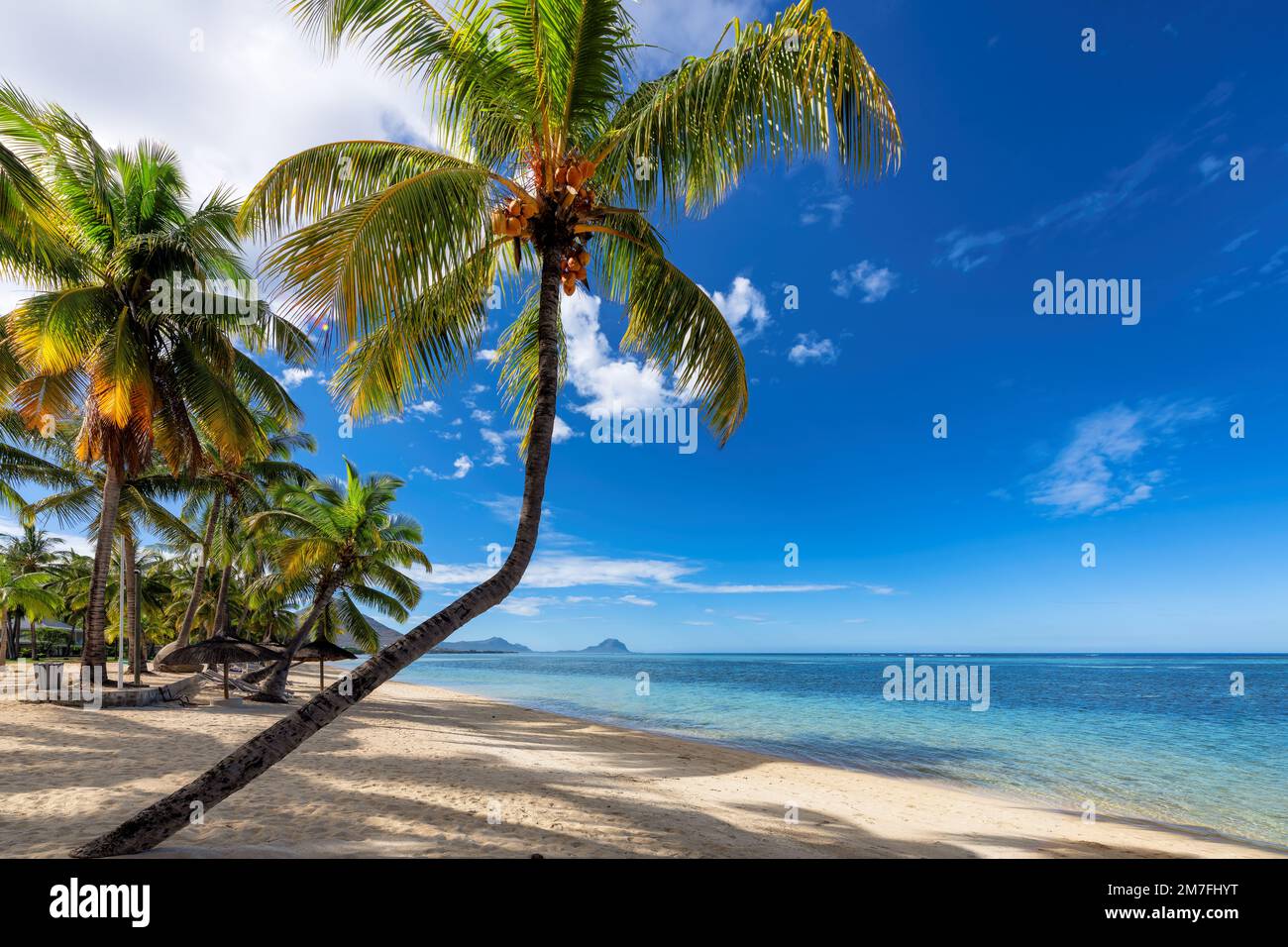 Bella spiaggia con palme e mare tropicale in Paradise Island. Vacanza estiva e concetto di spiaggia tropicale. Foto Stock
