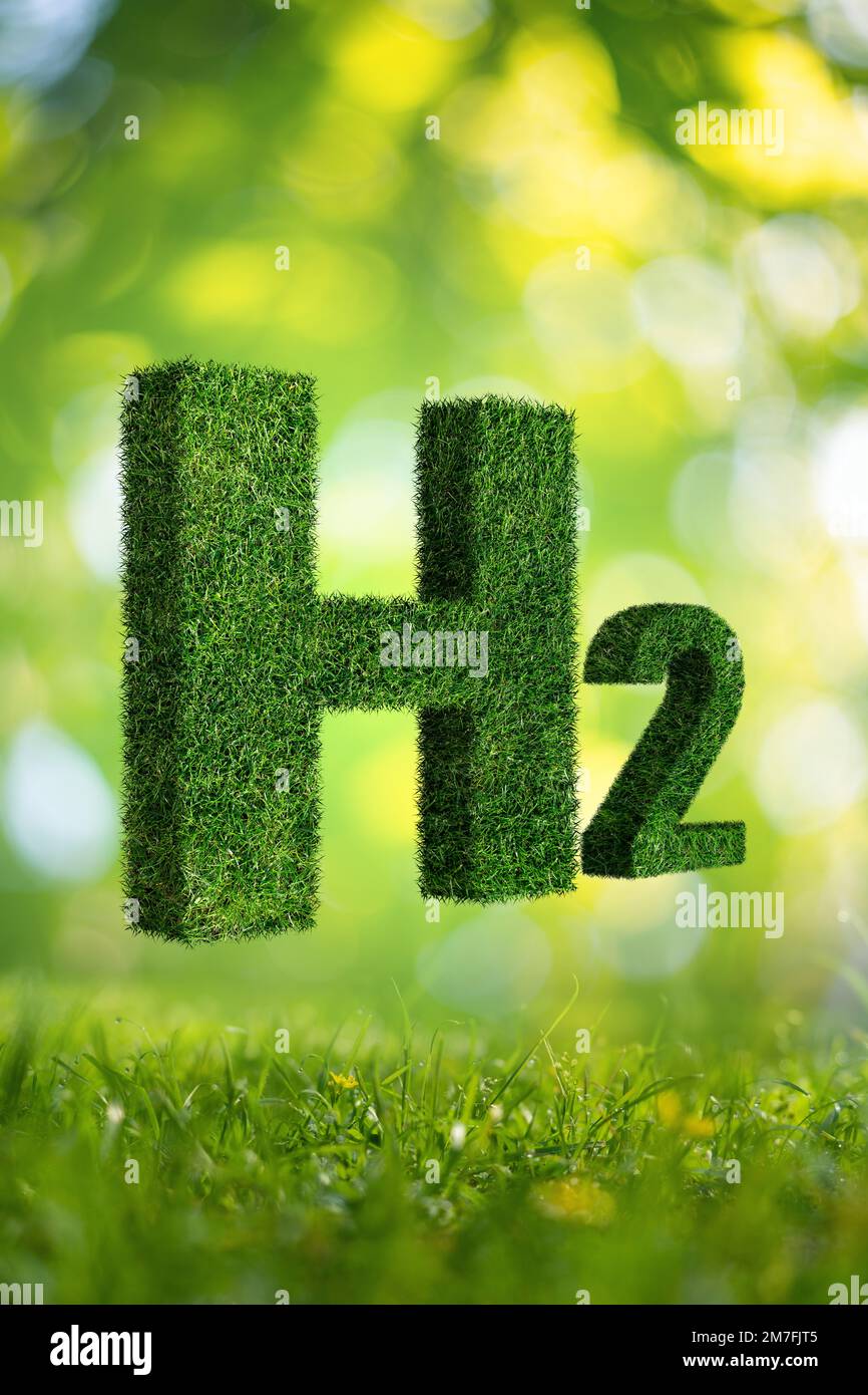 Simbolo di idrogeno H2 da erba. Foto Stock