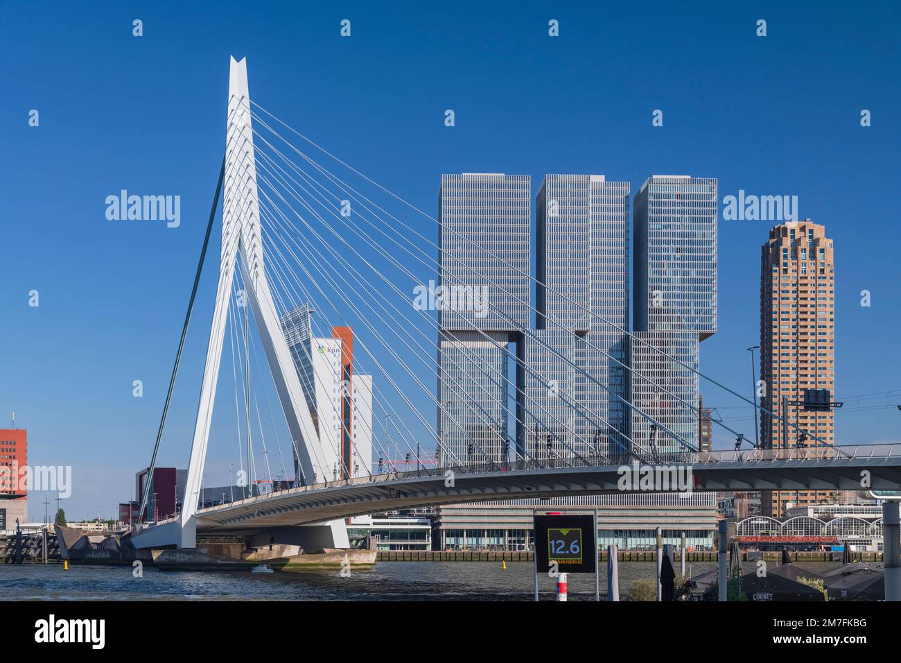 Olanda, Rotterdam, Vista dell'Erasmusbrug o del Ponte Erasmus sul Fiume Nieuwe Maas con il 3 sezionato edificio De Rotterdam sullo sfondo. Foto Stock