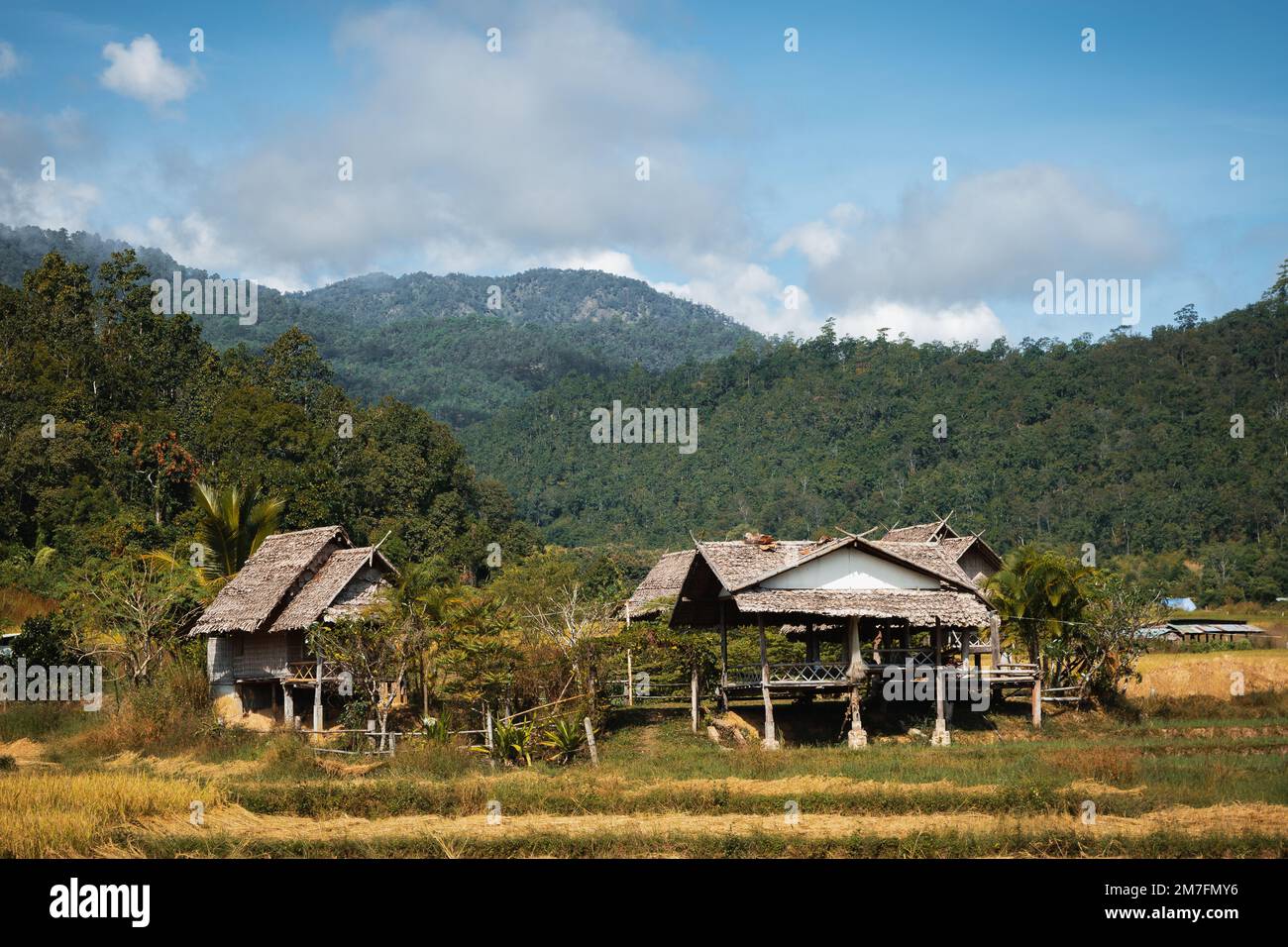 Rifugi in legno su risaie, nord Thailandia paesaggio Foto Stock