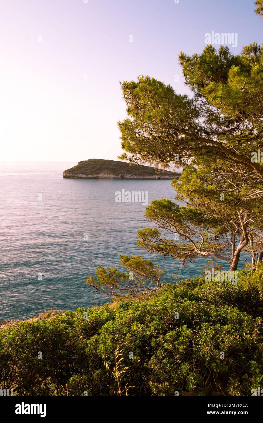 Vista sulla piccola isola campi vista dalla strada costiera da Vieste a Mattinata al Parco Nazionale del Gargano, Puglia, Italia Foto Stock