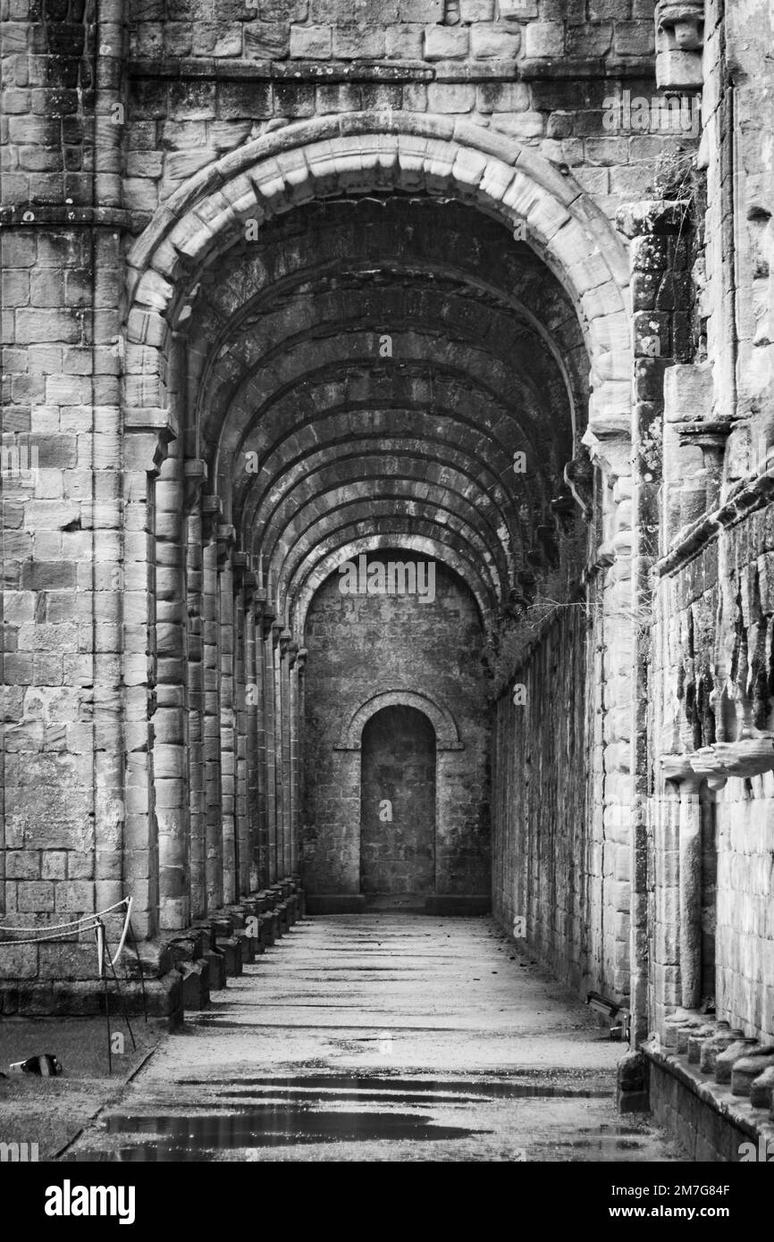 Rovine dell'Abbazia di Fountains. Edificio storico e di riferimento Foto Stock