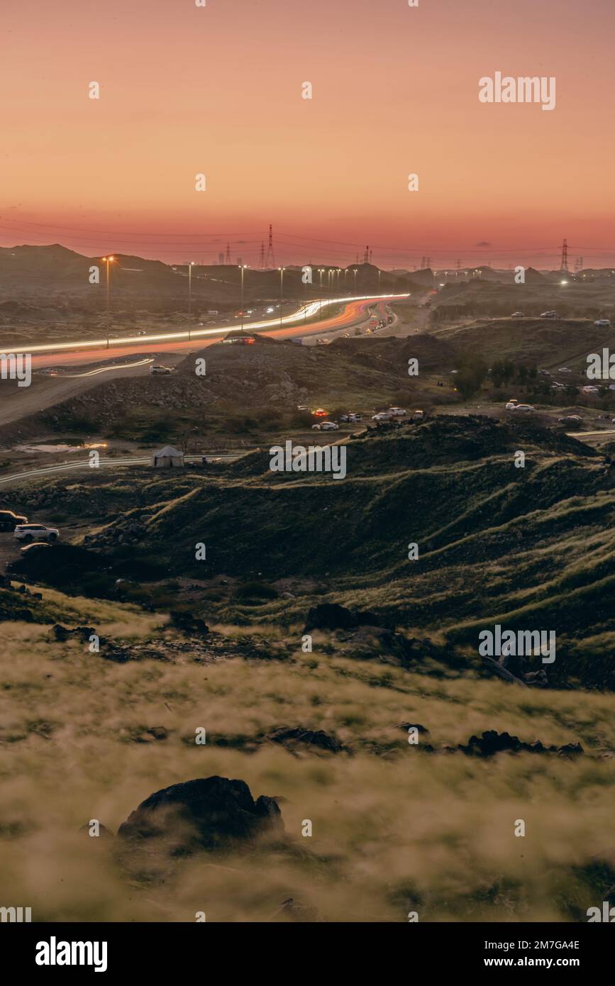 Natura verde del deserto dell'Arabia Saudita durante l'inverno Foto Stock