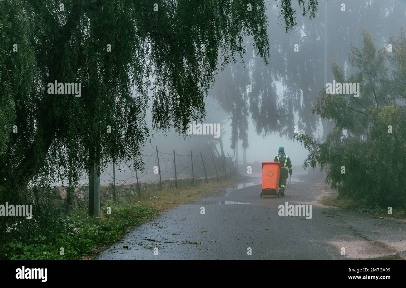 Natura verde del deserto dell'Arabia Saudita durante l'inverno Foto Stock