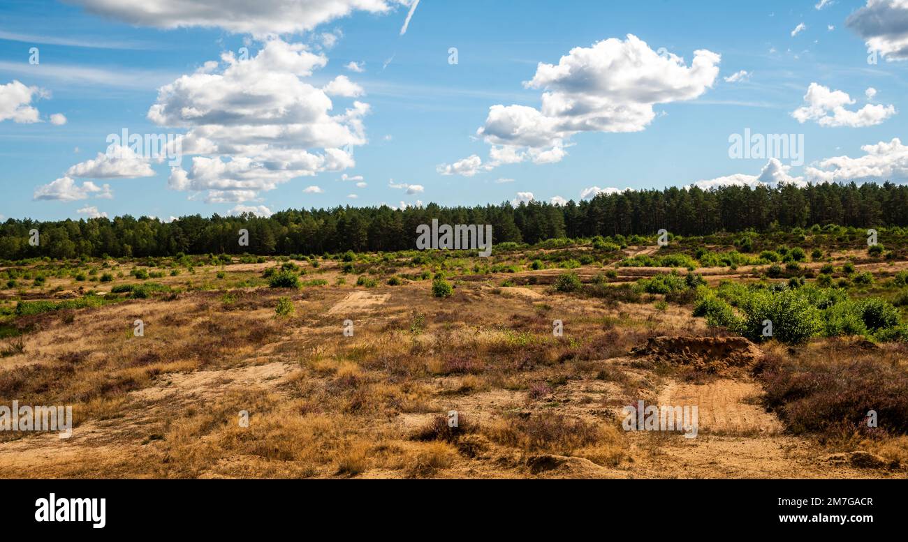 Campo di addestramento militare in Polonia - un luogo per addestrare unità militari dai paesi NATO Foto Stock