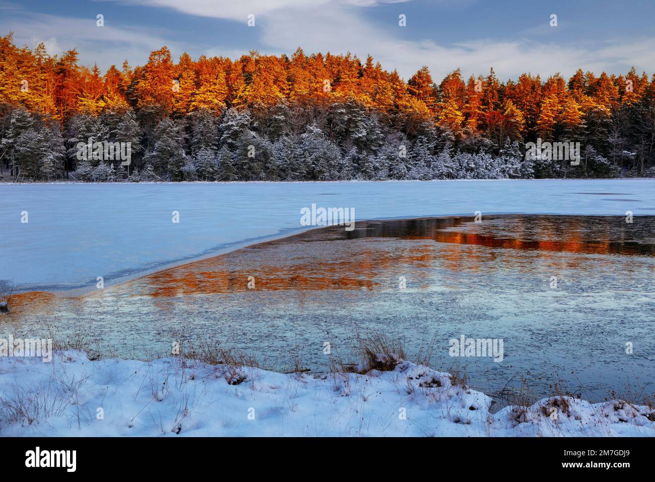Paesaggio invernale, Polonia Foto Stock