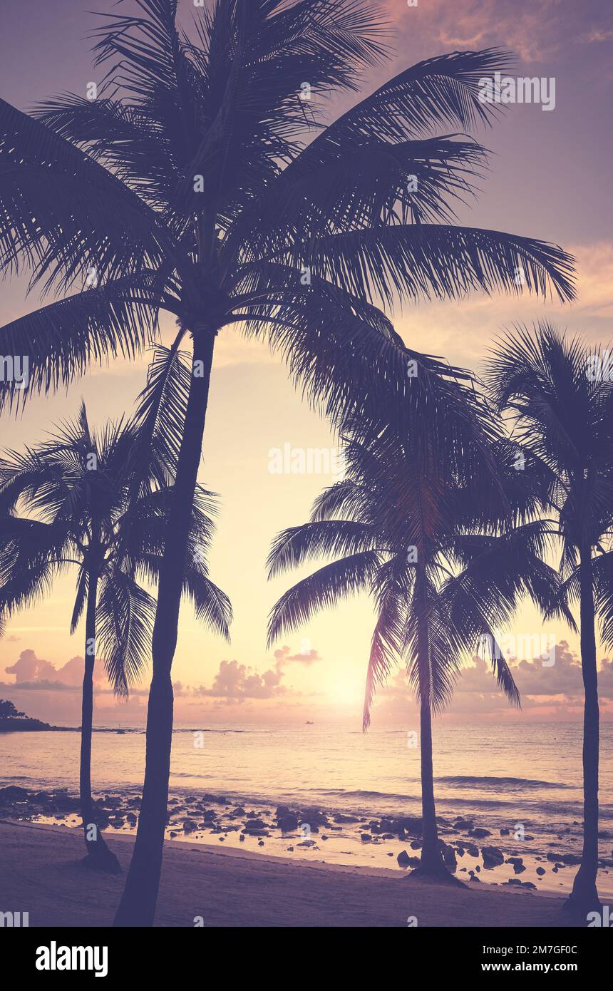 Spiaggia tropicale con silhouette di palme da cocco al tramonto, tonalità di colore applicate. Foto Stock