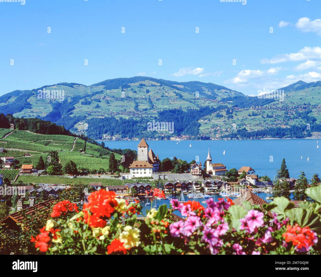 Città di Spiez, sulle rive del lago di Thun, Berna, Svizzera Foto Stock